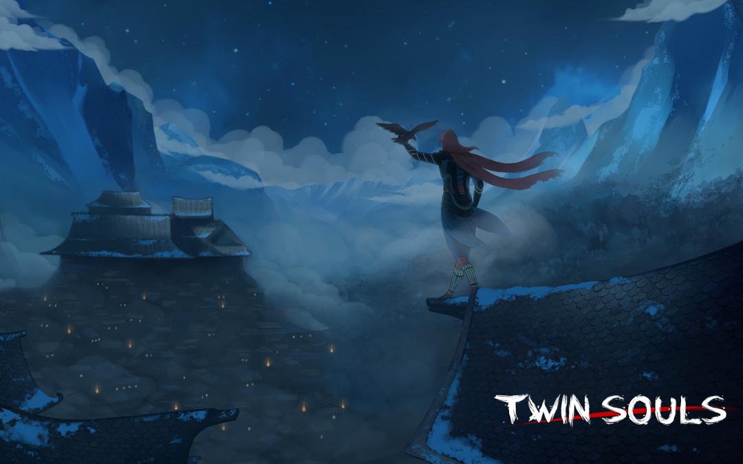 New project announced! Twin Souls